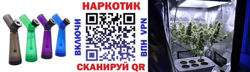 Виды наркоты Волгореченск ГАШИШ Каннабис Псилоцибиновые грибы Меф