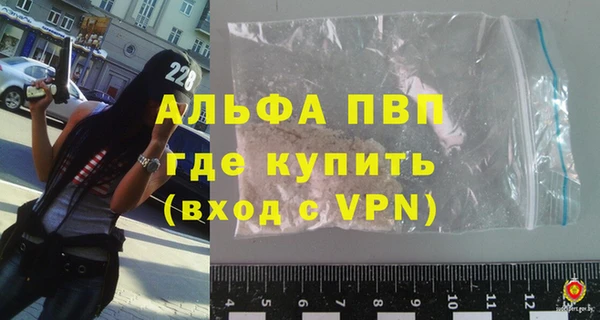 сатива Белокуриха