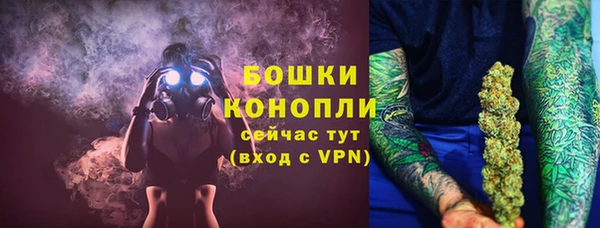 сатива Белокуриха
