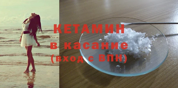 индика Сосновый Бор
